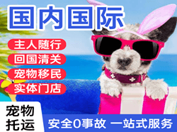 十堰武当山机场托运国际宠物托运 【国